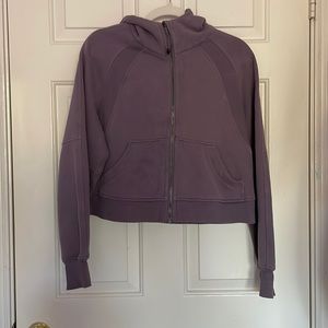 Full zip cropped scuba sweatshirt